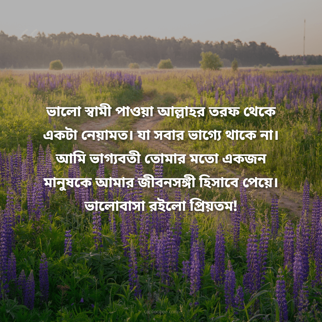 ভালো স্বামী পাওয়া আল্লাহর তরফ থেকে একটা নেয়ামত। যা সবার ভাগ্যে থাকে না। আমি ভাগ্যবতী তোমার মতো একজন মানুষকে আমার জীবনসঙ্গী হিসাবে পেয়ে। ভালোবাসা রইলো প্রিয়তম!