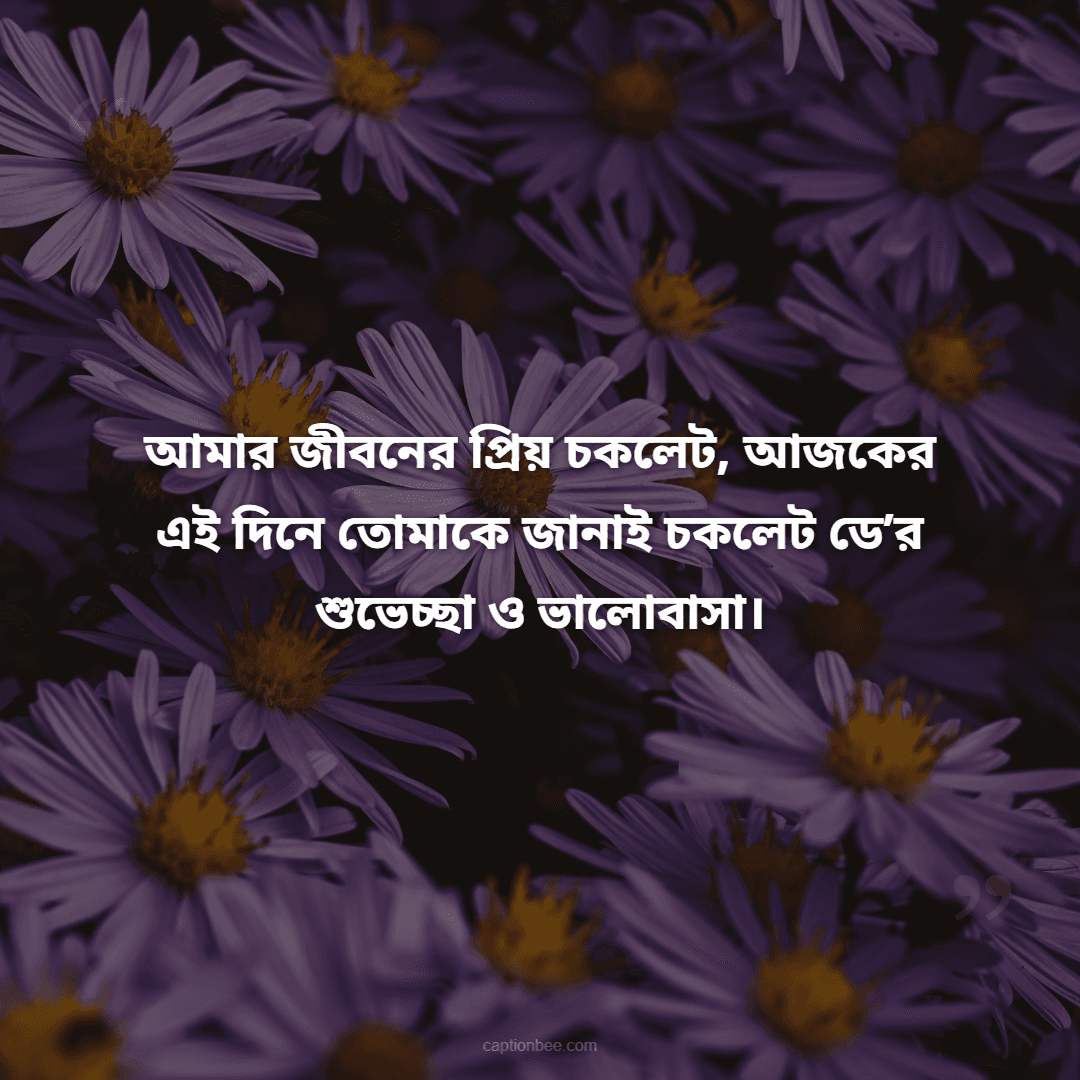 আমার জীবনের প্রিয় চকলেট, আজকের এই দিনে তোমাকে জানাই চকলেট ডে’র শুভেচ্ছা ও ভালোবাসা।