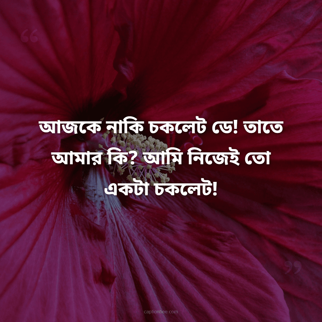 আজকে নাকি চকলেট ডে! তাতে আমার কি আমি নিজেই তো একটা চকলেট!