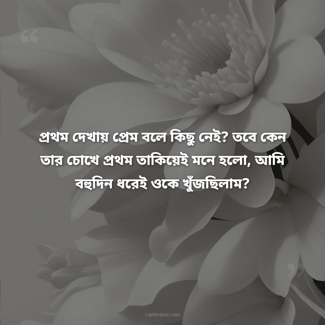 প্রথম দেখায় প্রেম বলে কিছু নেই তবে কেন তার চোখে প্রথম তাকিয়েই মনে হলো, আমি বহুদিন ধরেই ওকে খুঁজছিলাম