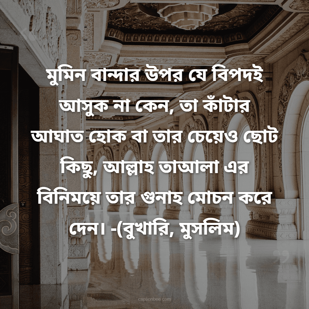 মুমিন বান্দার উপর যে বিপদই আসুক না কেন, তা কাঁটার আঘাত হোক বা তার চেয়েও ছোট কিছু, আল্লাহ তাআলা এর বিনিময়ে তার গুনাহ মোচন করে দেন। -(বুখারি, মুসলিম)