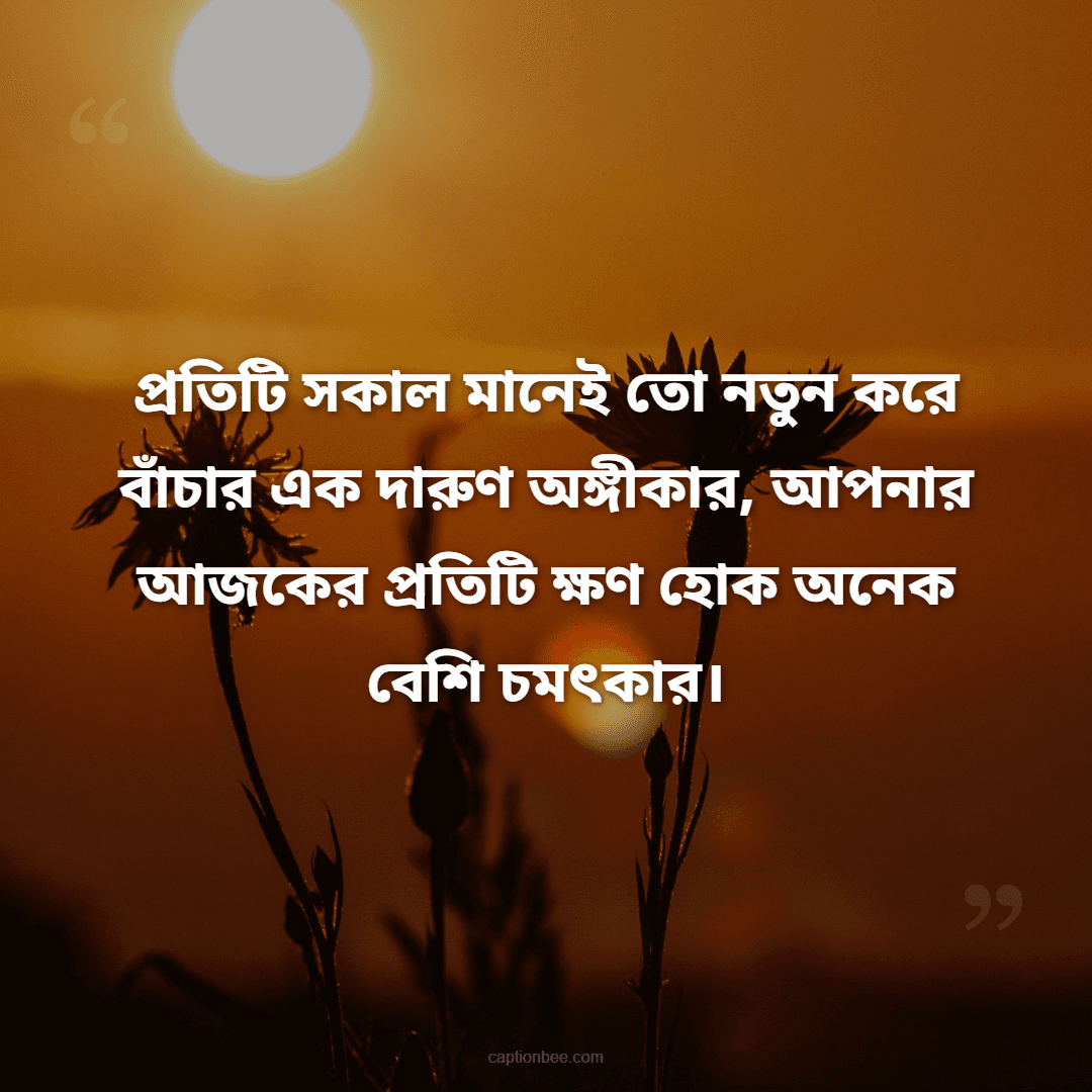 প্রতিটি সকাল মানেই তো নতুন করে বাঁচার এক দারুণ অঙ্গীকার, আপনার আজকের প্রতিটি ক্ষণ হোক অনেক বেশি চমৎকার।
