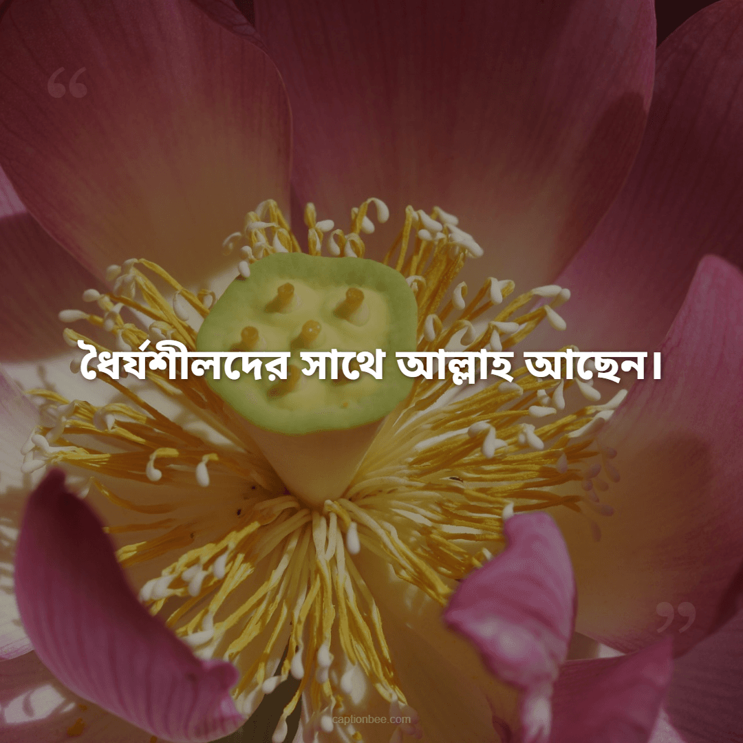 ধৈর্যশীলদের সাথে আল্লাহ আছেন।