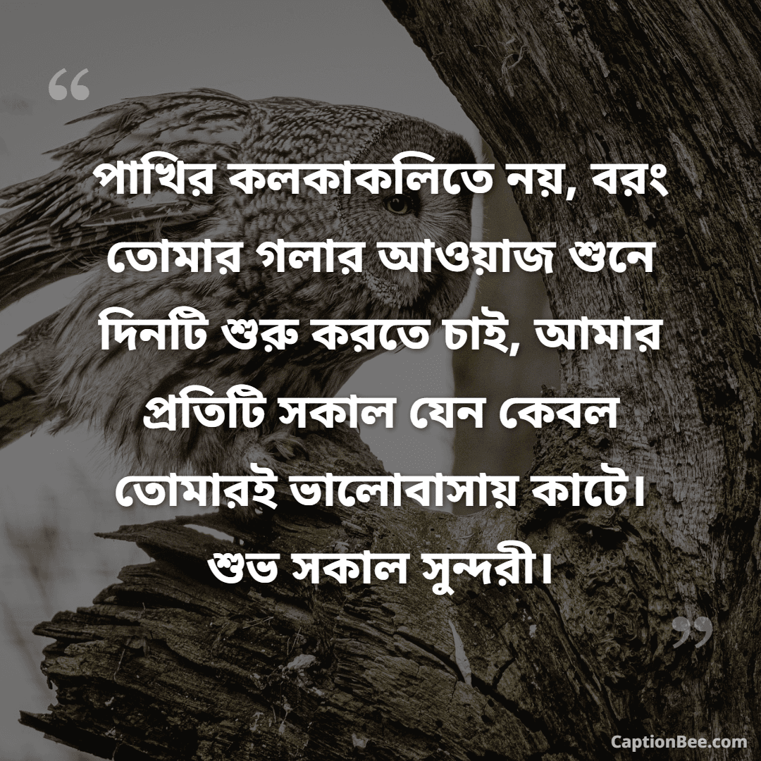 পাখির কলকাকলিতে নয়, বরং তোমার গলার আওয়াজ শুনে দিনটি শুরু করতে চাই, আমার প্রতিটি সকাল যেন কেবল তোমারই ভালোবাসায় কাটে। শুভ সকাল সুন্দরী।