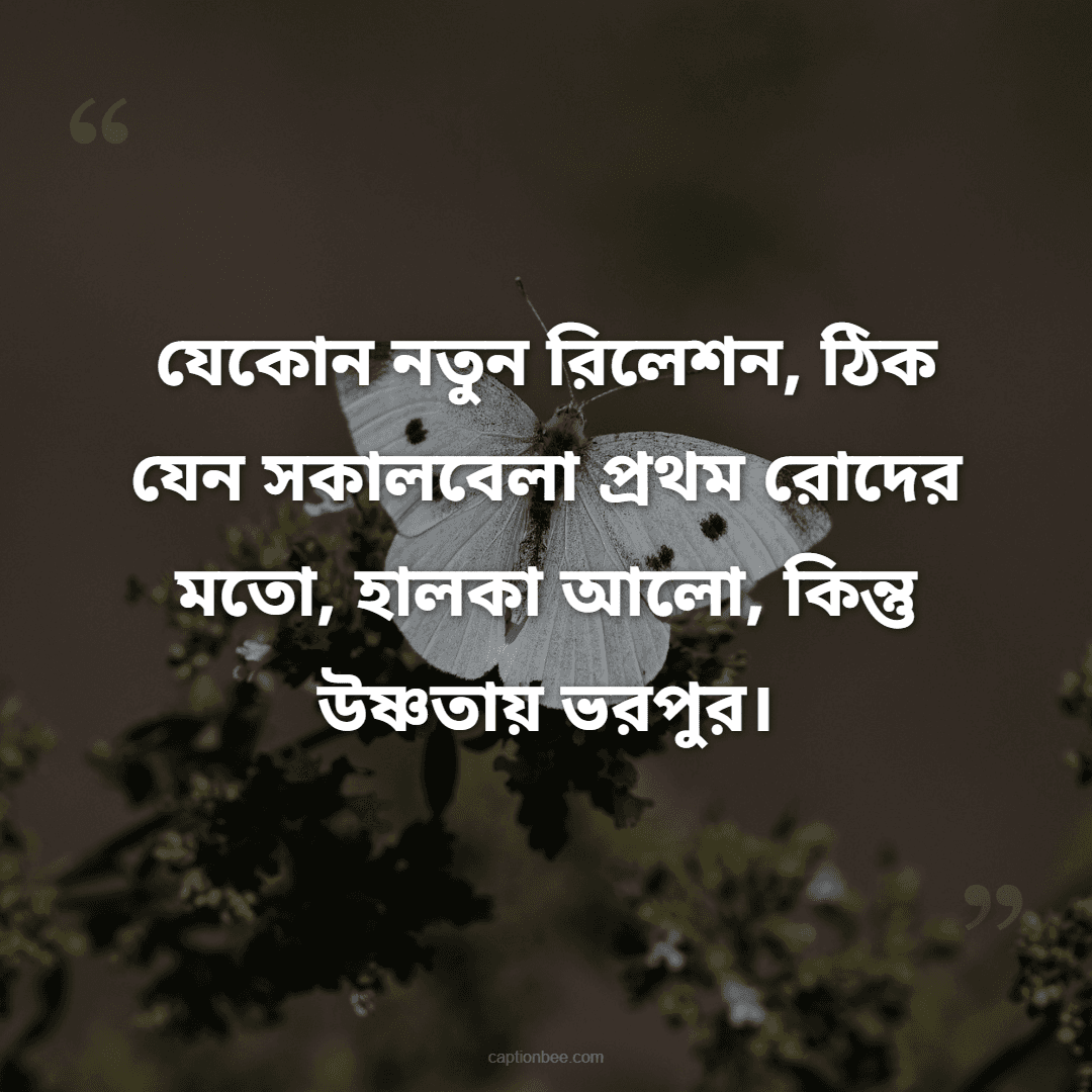 যেকোন নতুন রিলেশন, ঠিক যেন সকালবেলা প্রথম রোদের মতো, হালকা আলো, কিন্তু উষ্ণতায় ভরপুর।
