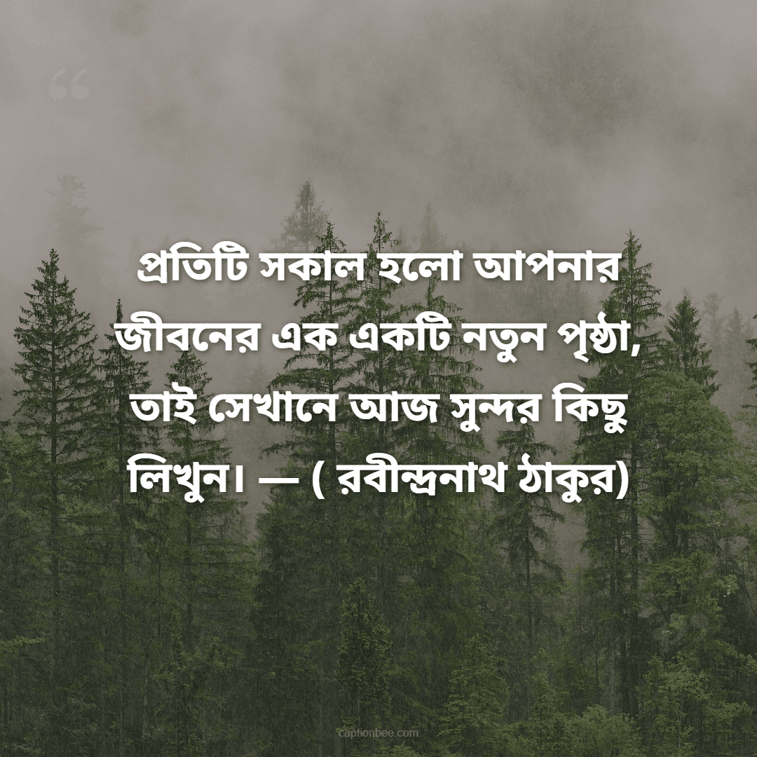 প্রতিটি সকাল হলো আপনার জীবনের এক একটি নতুন পৃষ্ঠা, তাই সেখানে আজ সুন্দর কিছু লিখুন। — ( রবীন্দ্রনাথ ঠাকুর)