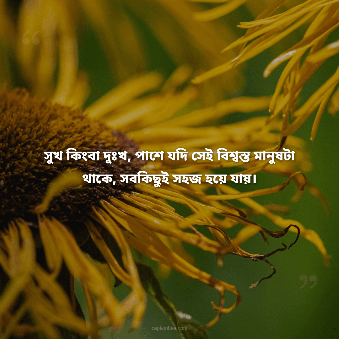 সুখ কিংবা দুঃখ, পাশে যদি সেই বিশ্বস্ত মানুষটা থাকে, সবকিছুই সহজ হয়ে যায়।