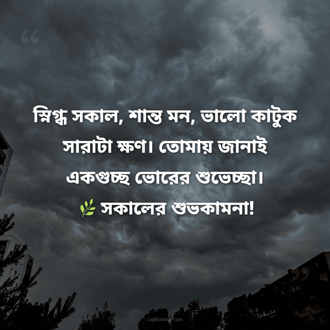 স্নিগ্ধ সকাল, শান্ত মন, ভালো কাটুক সারাটা ক্ষণ। তোমায় জানাই একগুচ্ছ ভোরের শুভেচ্ছা। সকালের শুভকামনা!