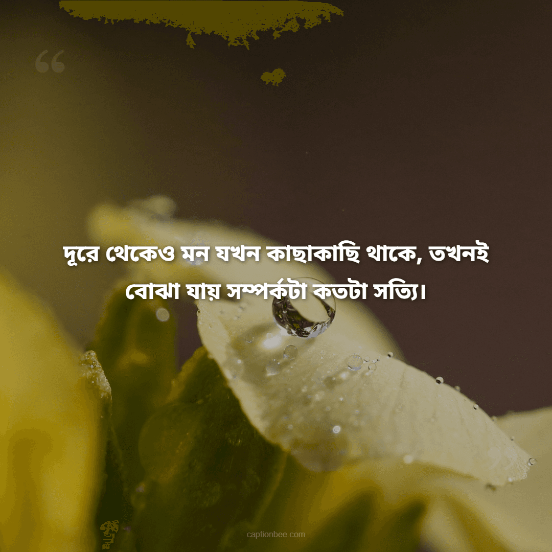 দূরে থেকেও মন যখন কাছাকাছি থাকে, তখনই বোঝা যায় সম্পর্কটা কতটা সত্যি।