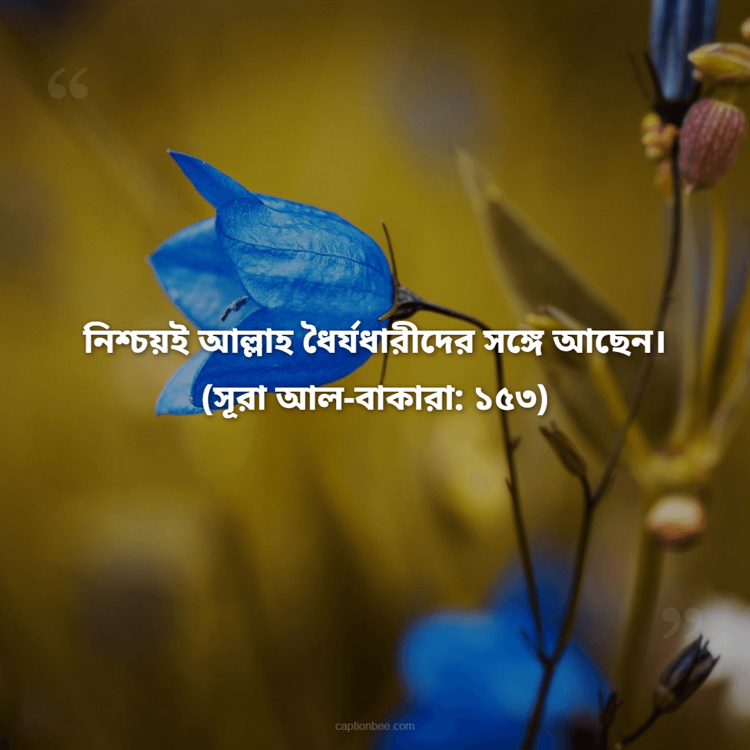 নিশ্চয়ই আল্লাহ ধৈর্যধারীদের সঙ্গে আছেন। -(সূরা আল-বাকারা ১৫৩)