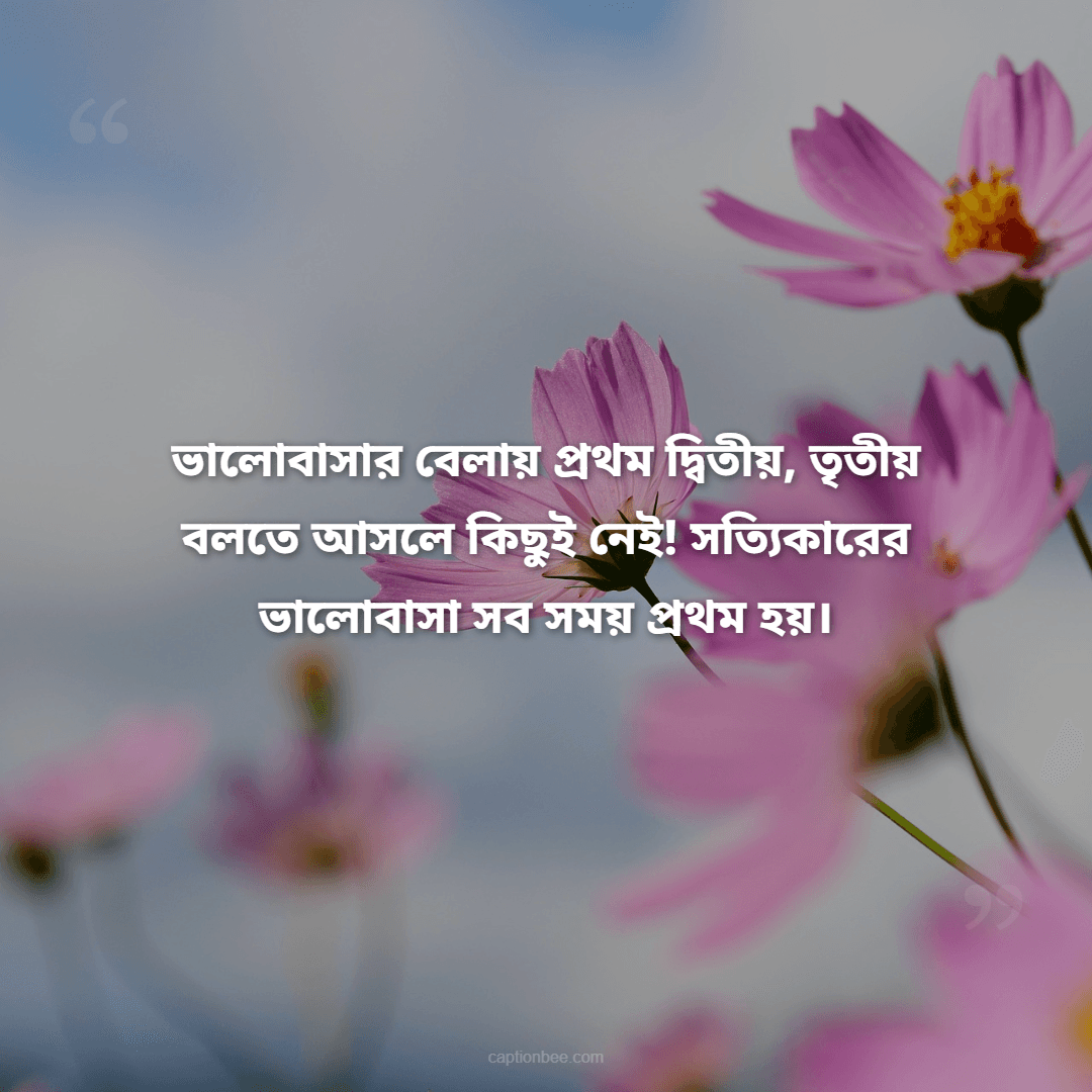 ভালোবাসার বেলায় প্রথম দ্বিতীয়, তৃতীয় বলতে আসলে কিছুই নেই! সত্যিকারের ভালোবাসা সব সময় প্রথম হয়।