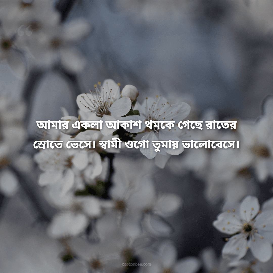 আমার একলা আকাশ থমকে গেছে রাতের স্রোতে ভেসে। স্বামী ওগো তুমায় ভালোবেসে।