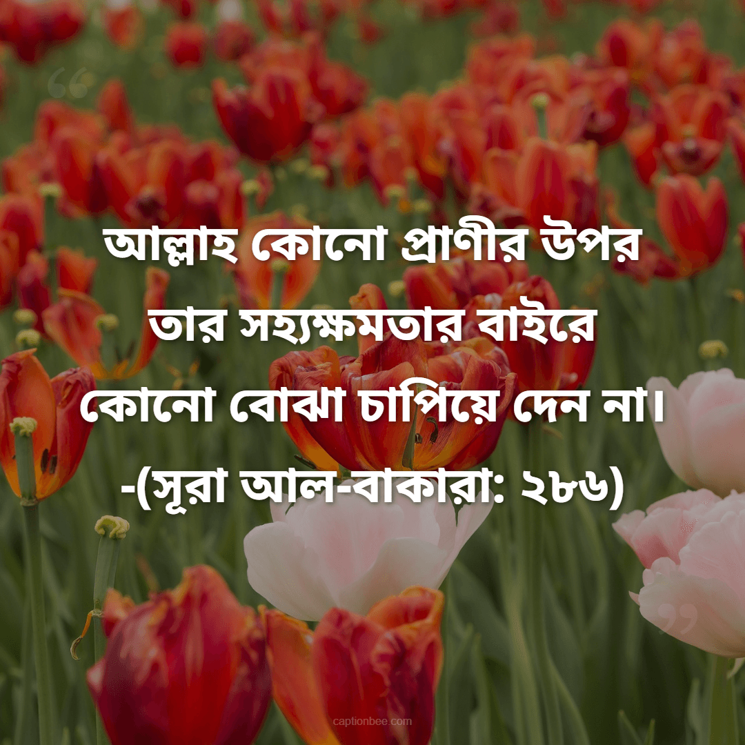 আল্লাহ কোনো প্রাণীর উপর তার সহ্যক্ষমতার বাইরে কোনো বোঝা চাপিয়ে দেন না। -(সূরা আল-বাকারা ২৮৬)