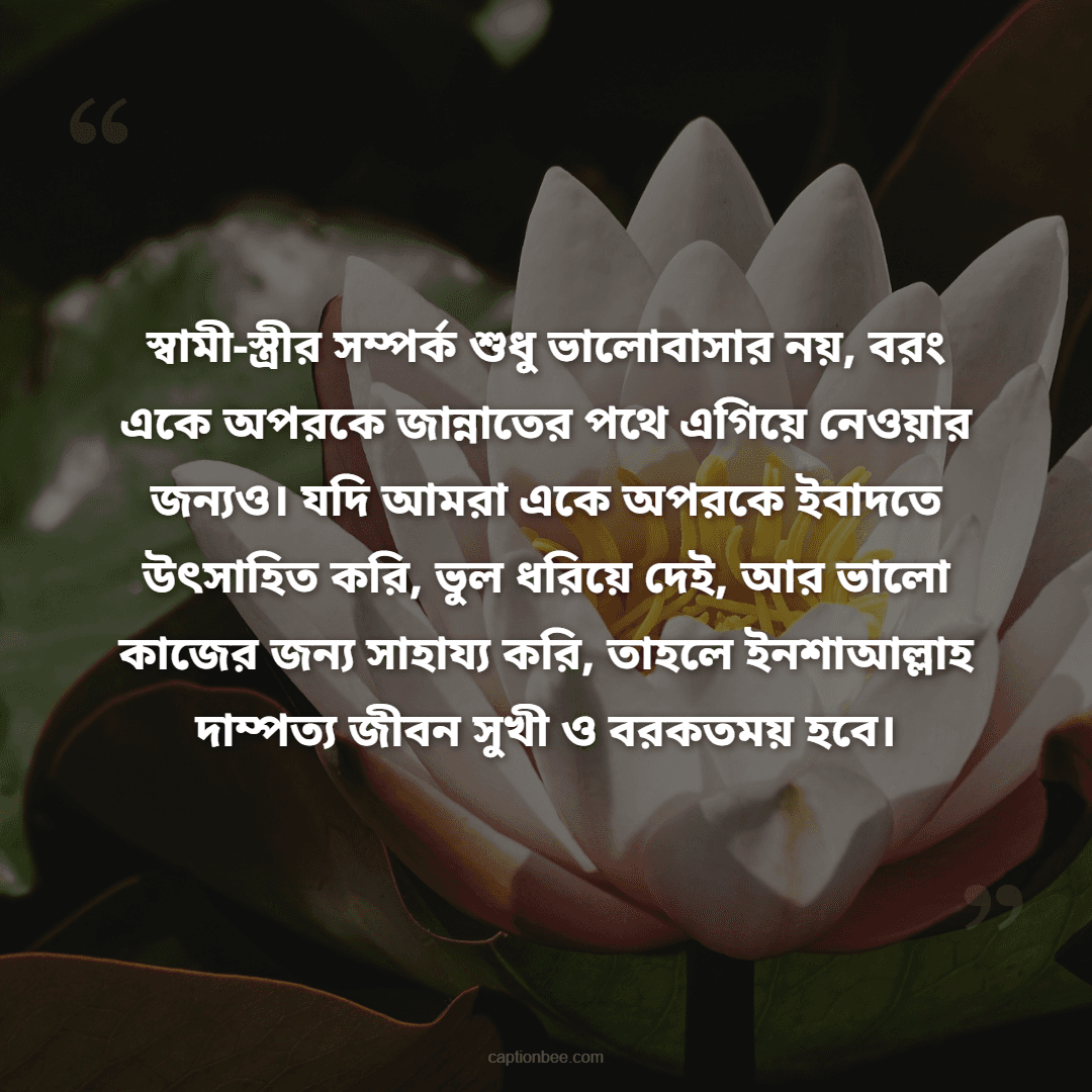 স্বামী-স্ত্রীর সম্পর্ক শুধু ভালোবাসার নয়, বরং একে অপরকে জান্নাতের পথে এগিয়ে নেওয়ার জন্যও। যদি আমরা একে অপরকে ইবাদতে উৎসাহিত করি, ভুল ধরিয়ে দেই, আর ভালো কাজের জন্য সাহায্য করি, তাহলে ইনশাআল্লাহ দাম্পত্য জীবন সুখ