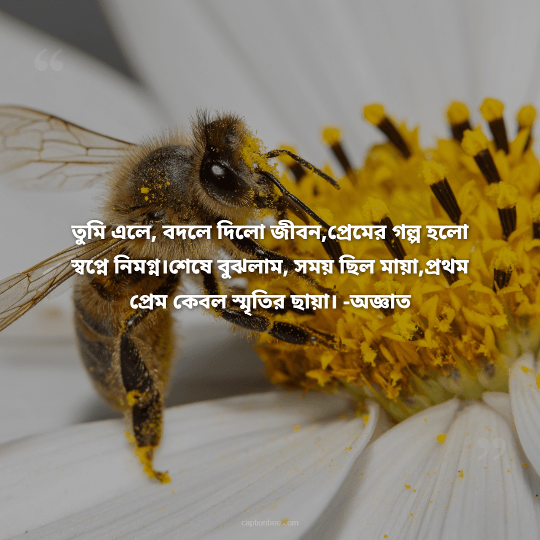 তুমি এলে, বদলে দিলো জীবন,প্রেমের গল্প হলো স্বপ্নে নিমগ্ন।শেষে বুঝলাম, সময় ছিল মায়া,প্রথম প্রেম কেবল স্মৃতির ছায়া। -অজ্ঞাত