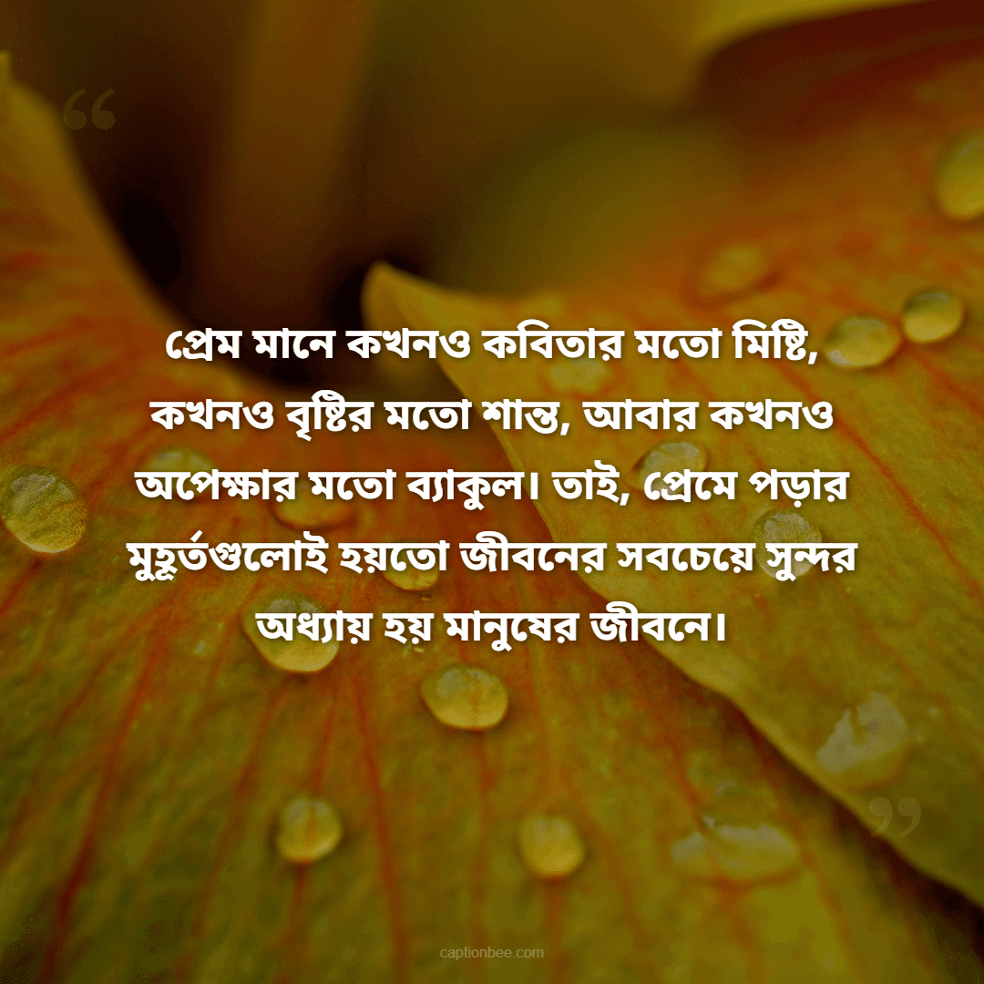 প্রেম মানে কখনও কবিতার মতো মিষ্টি, কখনও বৃষ্টির মতো শান্ত, আবার কখনও অপেক্ষার মতো ব্যাকুল। তাই, প্রেমে পড়ার মুহূর্তগুলোই হয়তো জীবনের সবচেয়ে সুন্দর অধ্যায় হয় মানুষের জীবনে।