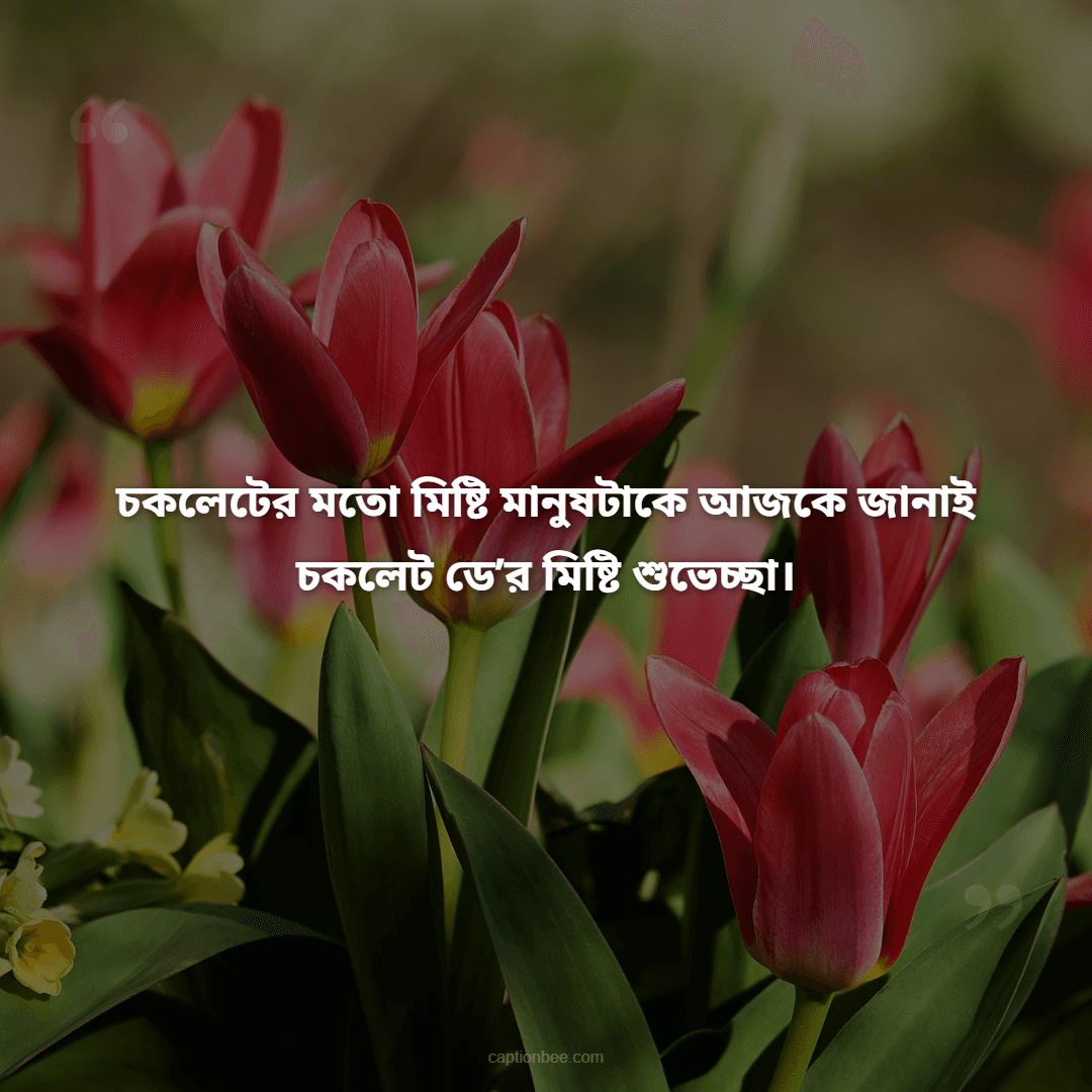 চকলেটের মতো মিষ্টি মানুষটাকে আজকে জানাই চকলেট ডে’র মিষ্টি শুভেচ্ছা।