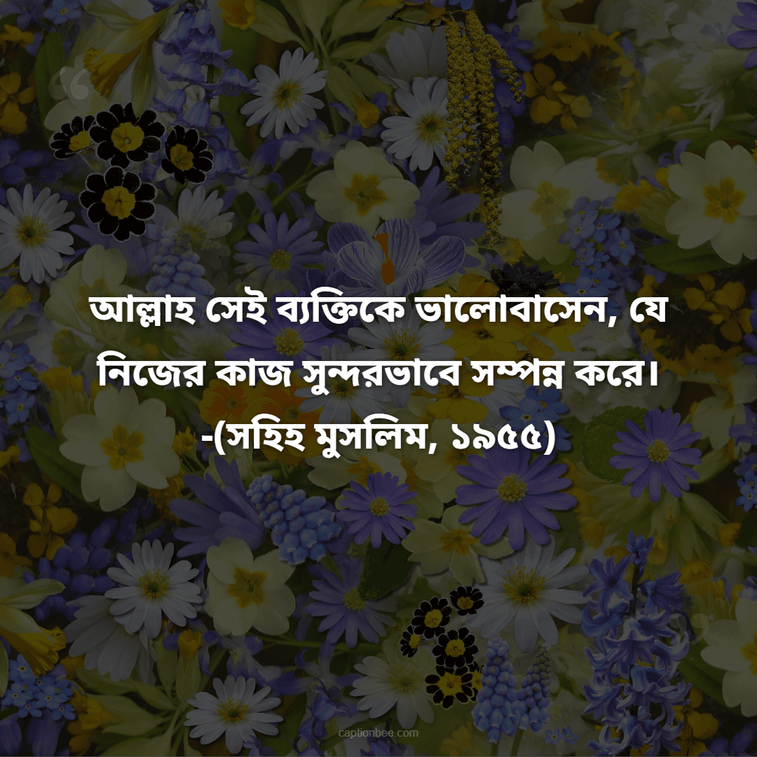 আল্লাহ সেই ব্যক্তিকে ভালোবাসেন, যে নিজের কাজ সুন্দরভাবে সম্পন্ন করে। -(সহিহ মুসলিম, ১৯৫৫)