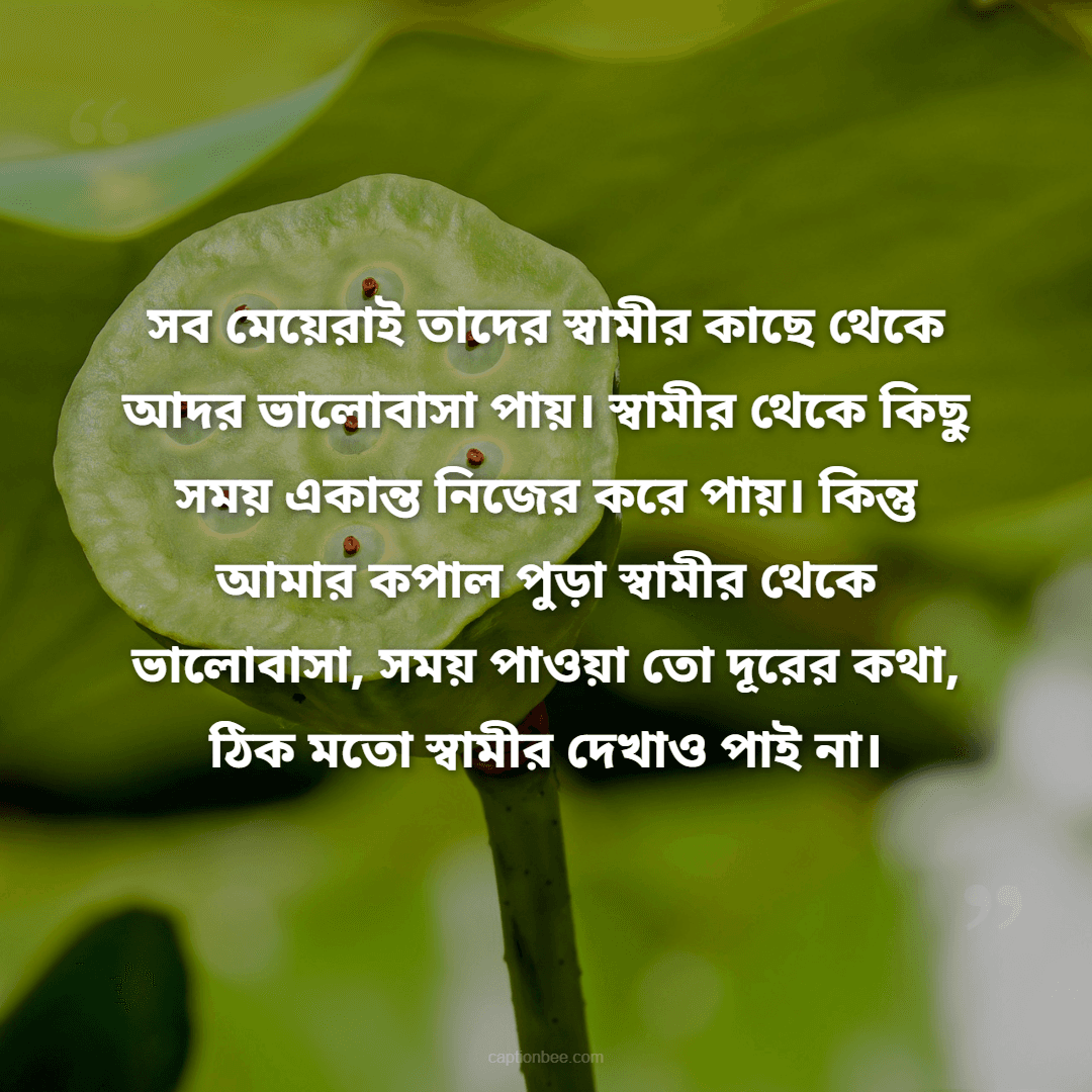 সব মেয়েরাই তাদের স্বামীর কাছে থেকে আদর ভালোবাসা পায়। স্বামীর থেকে কিছু সময় একান্ত নিজের করে পায়। কিন্তু আমার কপাল পুড়া স্বামীর থেকে ভালোবাসা, সময় পাওয়া তো দূরের কথা, ঠিক মতো স্বামীর দেখাও পাই না।