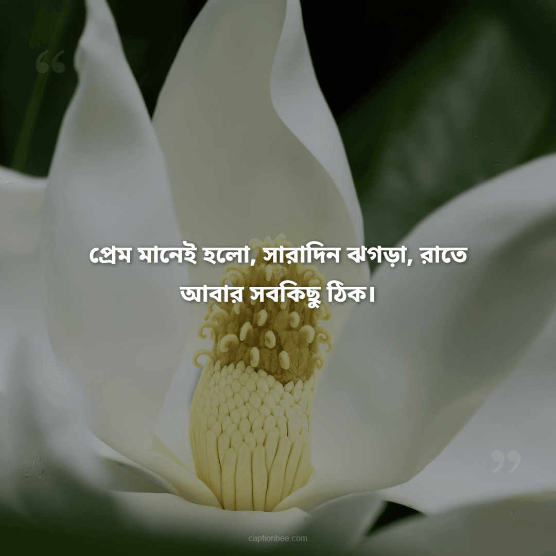 প্রেম মানেই হলো, সারাদিন ঝগড়া, রাতে আবার সবকিছু ঠিক।