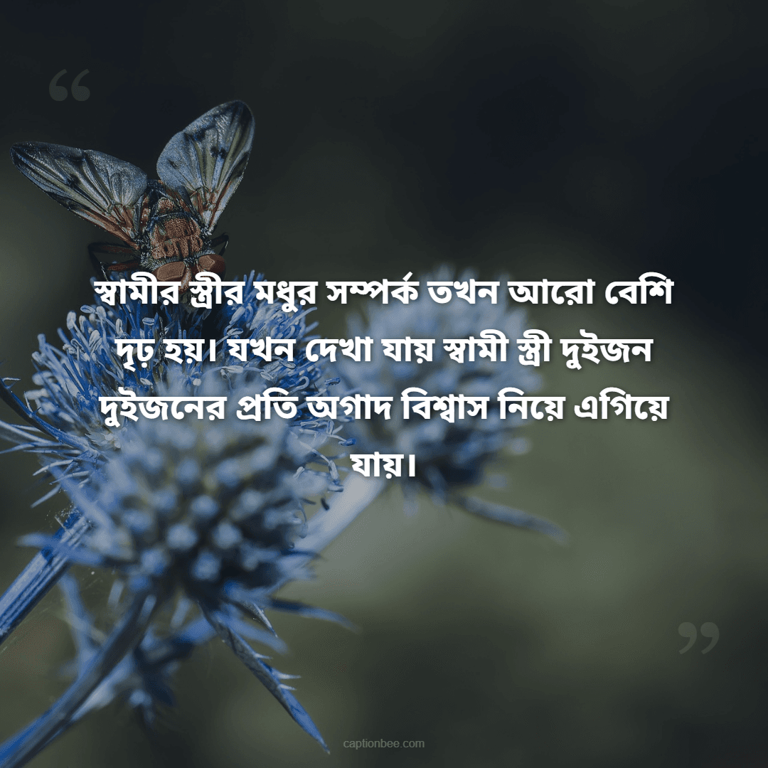 স্বামীর স্ত্রীর মধুর সম্পর্ক তখন আরো বেশি দৃঢ় হয়। যখন দেখা যায় স্বামী স্ত্রী দুইজন দুইজনের প্রতি অগাদ বিশ্বাস নিয়ে এগিয়ে যায়।