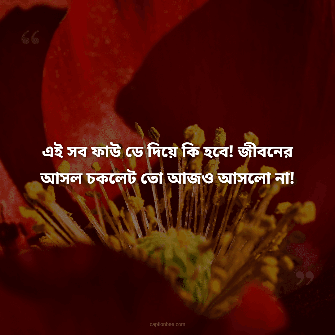 এই সব ফাউ ডে দিয়ে কি হবে! জীবনের আসল চকলেট তো আজও আসলো না!