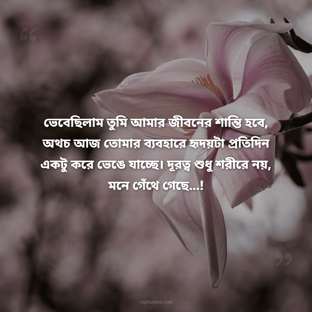 ভেবেছিলাম তুমি আমার জীবনের শান্তি হবে, অথচ আজ তোমার ব্যবহারে হৃদয়টা প্রতিদিন একটু করে ভেঙে যাচ্ছে। দূরত্ব শুধু শরীরে নয়, মনে গেঁথে গেছে…!