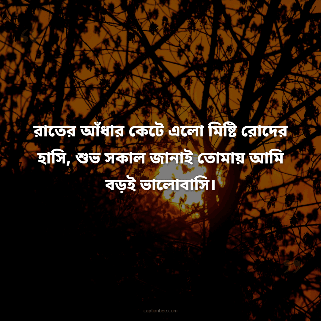 রাতের আঁধার কেটে এলো মিষ্টি রোদের হাসি, শুভ সকাল জানাই তোমায় আমি বড়ই ভালোবাসি।