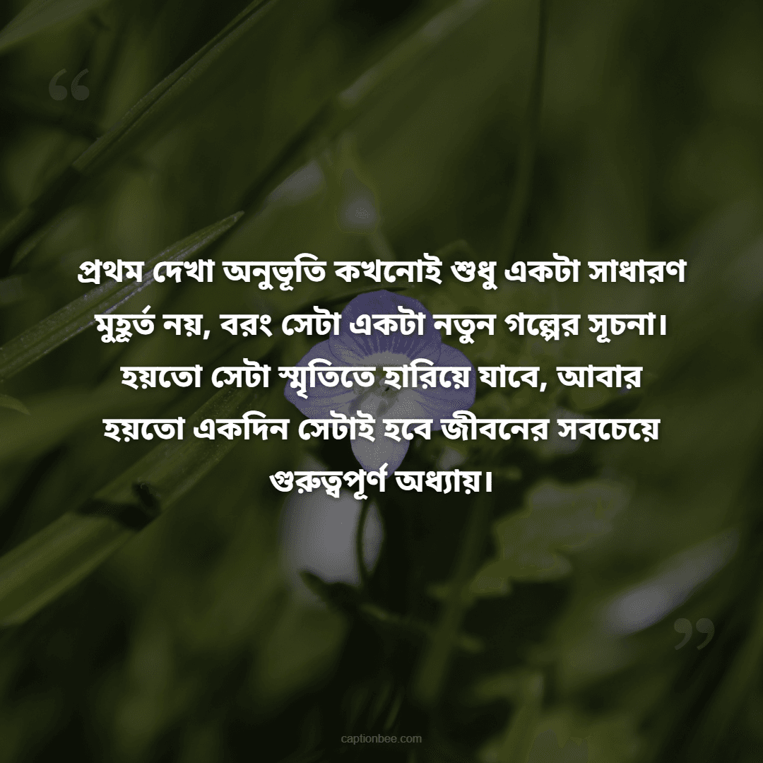 প্রথম দেখা অনুভূতি কখনোই শুধু একটা সাধারণ মুহূর্ত নয়, বরং সেটা একটা নতুন গল্পের সূচনা। হয়তো সেটা স্মৃতিতে হারিয়ে যাবে, আবার হয়তো একদিন সেটাই হবে জীবনের সবচেয়ে গুরুত্বপূর্ণ অধ্যায়।