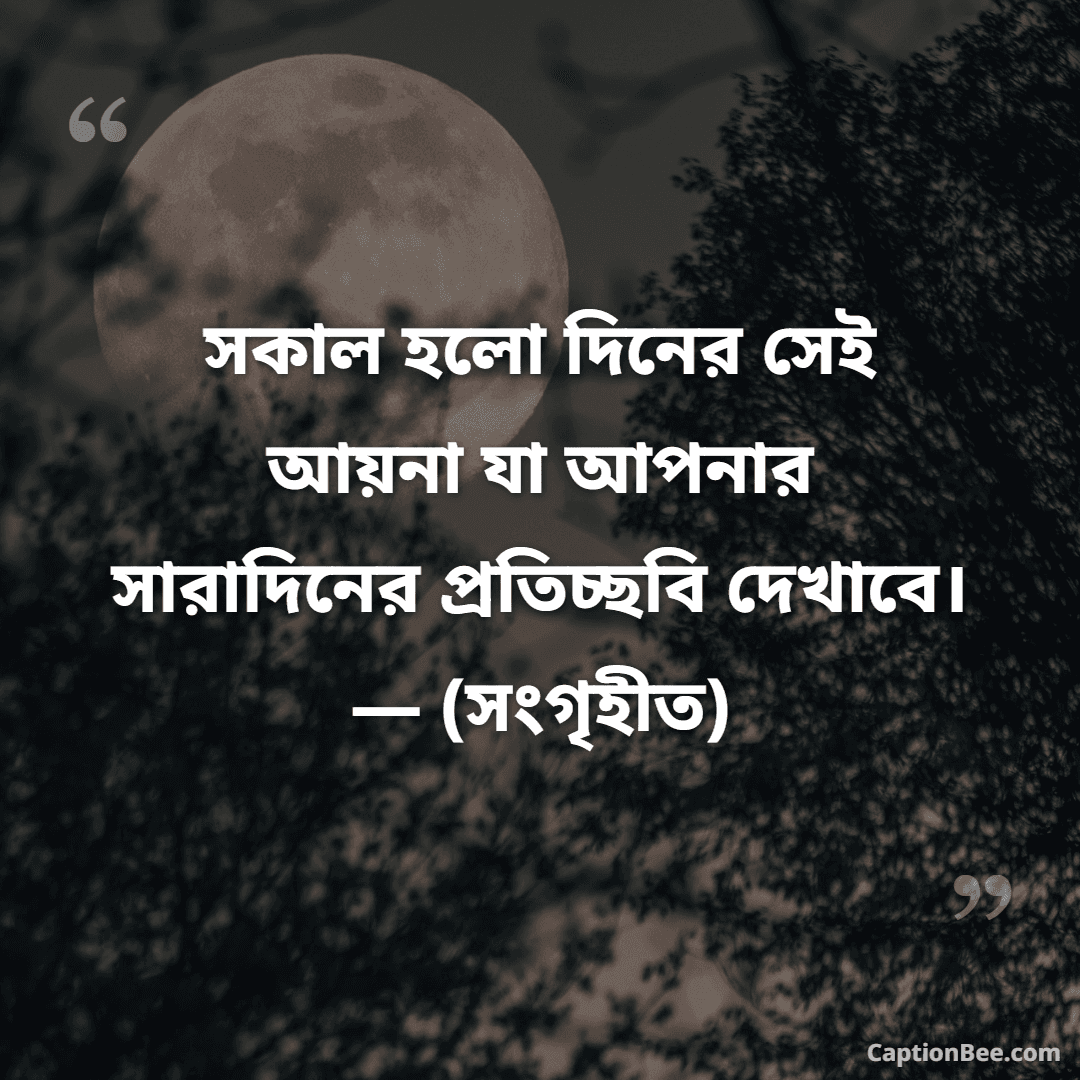 সকাল হলো দিনের সেই আয়না যা আপনার সারাদিনের প্রতিচ্ছবি দেখাবে। — (সংগৃহীত)