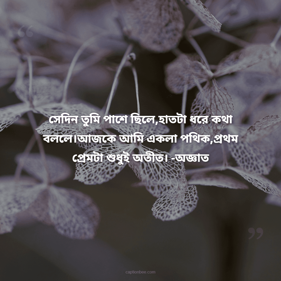 সেদিন তুমি পাশে ছিলে,হাতটা ধরে কথা বললে।আজকে আমি একলা পথিক,প্রথম প্রেমটা শুধুই অতীত।  -অজ্ঞাত