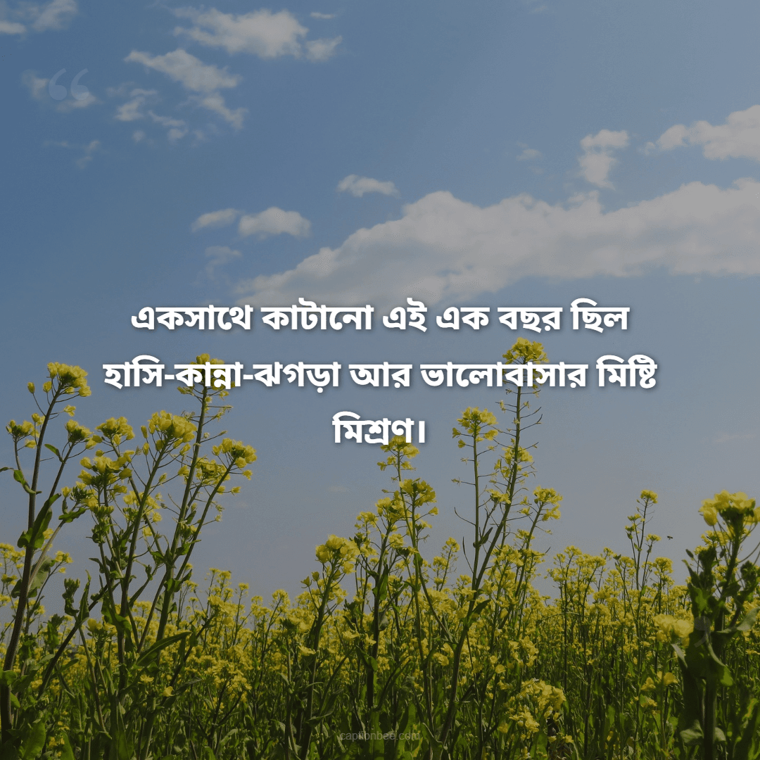 একসাথে কাটানো এই এক বছর ছিল হাসি-কান্না-ঝগড়া আর ভালোবাসার মিষ্টি মিশ্রণ।