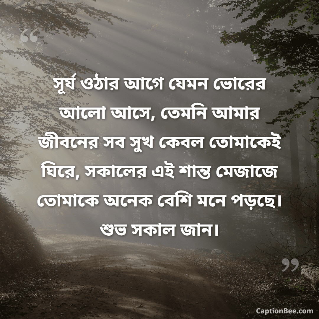 সূর্য ওঠার আগে যেমন ভোরের আলো আসে, তেমনি আমার জীবনের সব সুখ কেবল তোমাকেই ঘিরে, সকালের এই শান্ত মেজাজে তোমাকে অনেক বেশি মনে পড়ছে। শুভ সকাল জান।