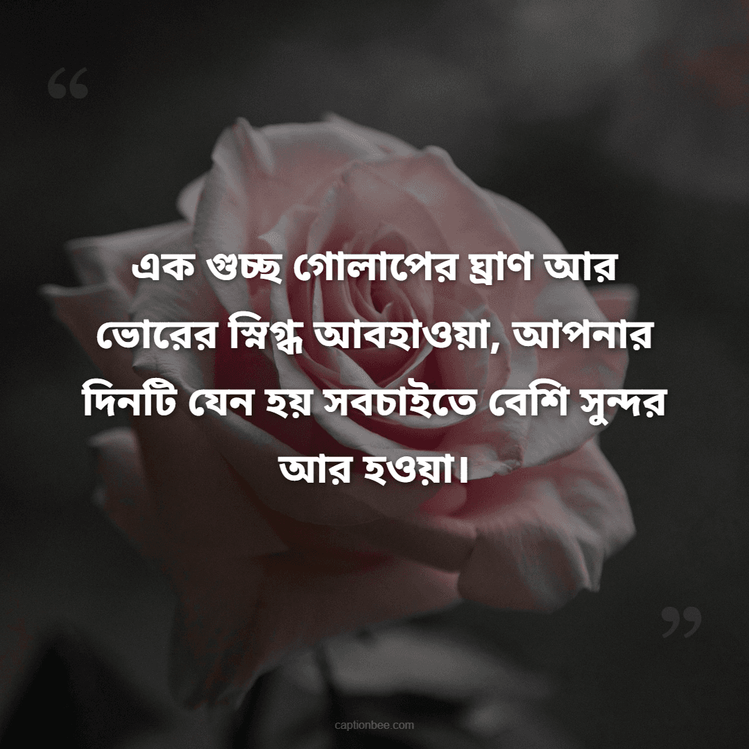 এক গুচ্ছ গোলাপের ঘ্রাণ আর ভোরের স্নিগ্ধ আবহাওয়া, আপনার দিনটি যেন হয় সবচাইতে বেশি সুন্দর আর হওয়া।