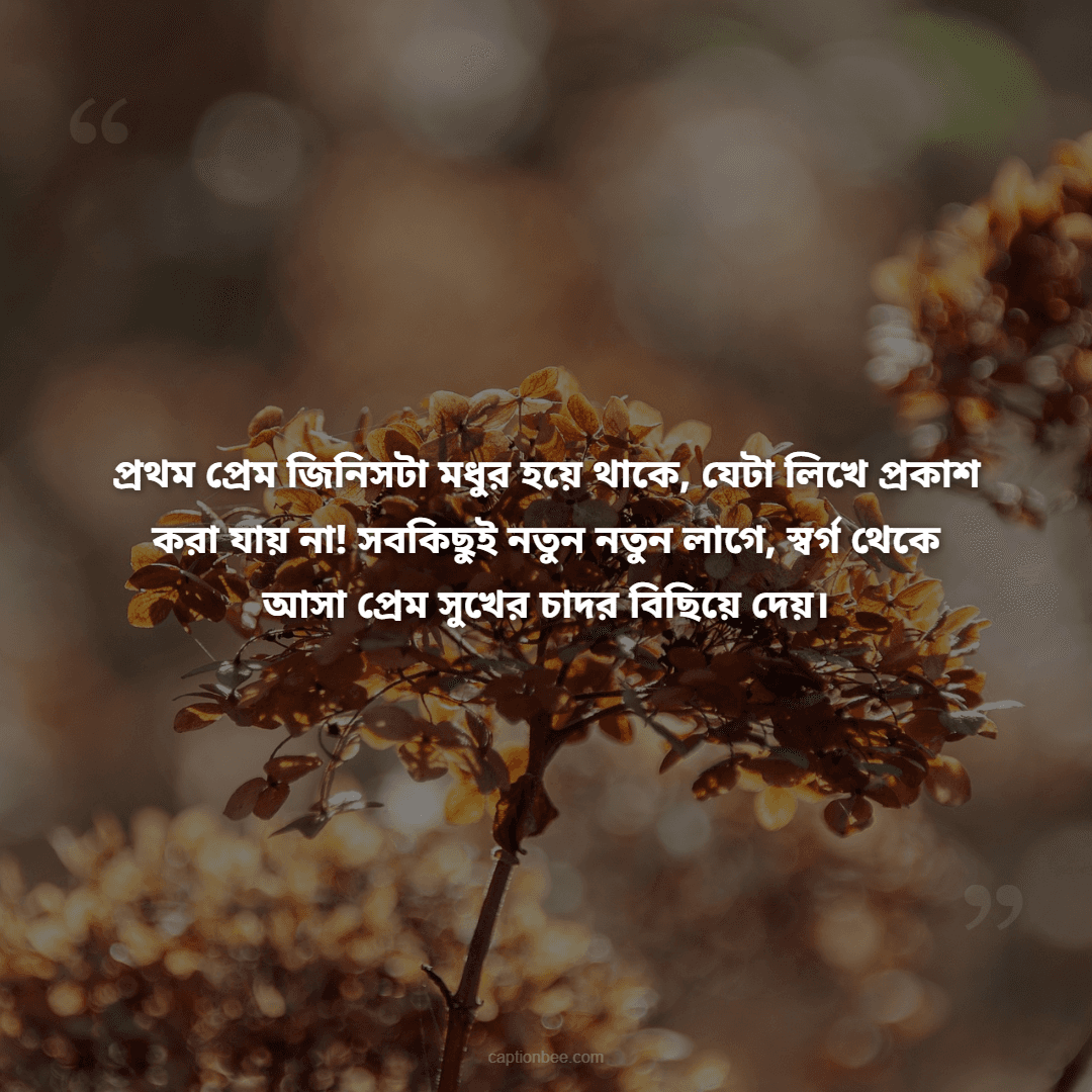 প্রথম প্রেম জিনিসটা মধুর হয়ে থাকে, যেটা লিখে প্রকাশ করা যায় না! সবকিছুই নতুন নতুন লাগে, স্বর্গ থেকে আসা প্রেম সুখের চাদর বিছিয়ে দেয়।