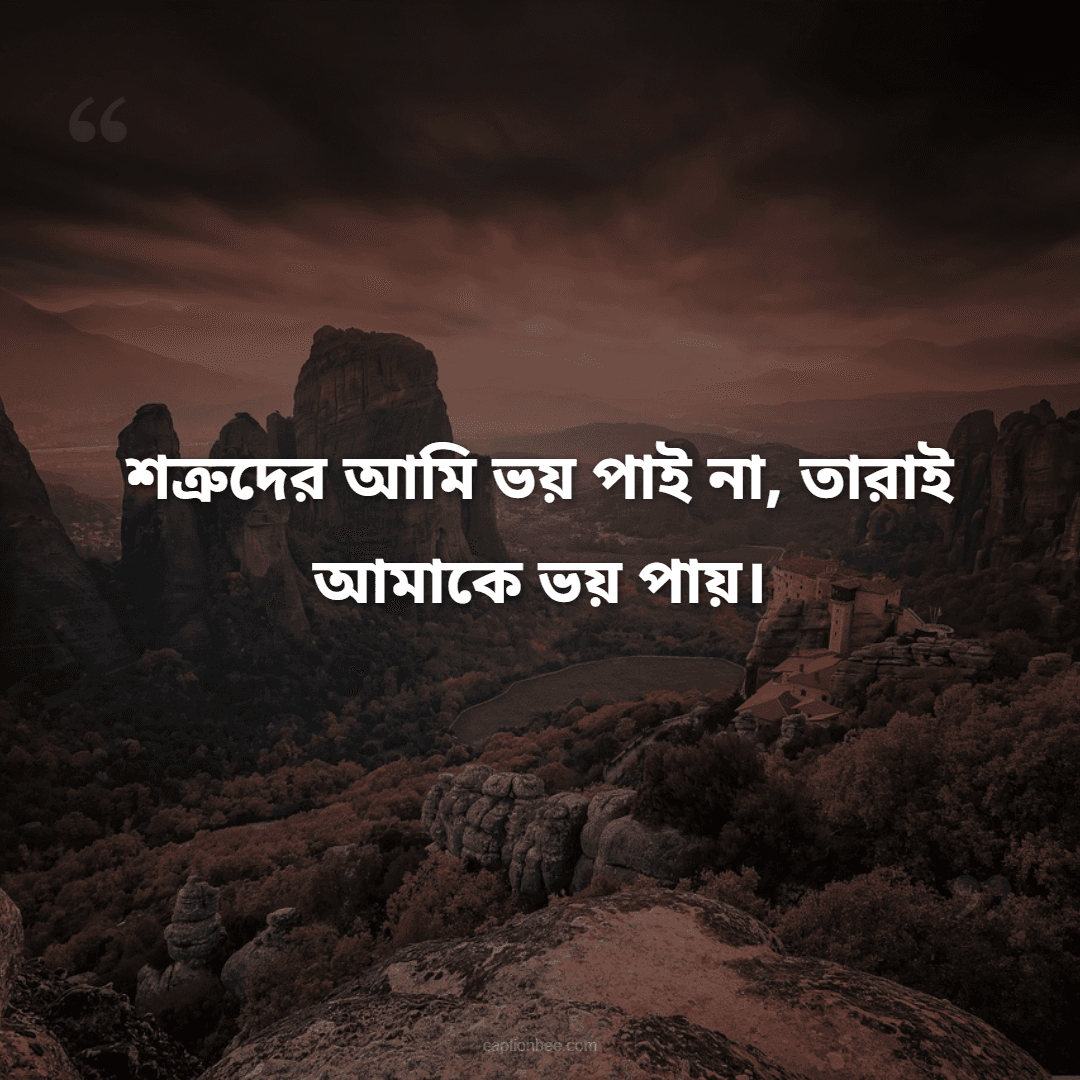 শত্রুদের আমি ভয় পাই না, তারাই আমাকে ভয় পায়।