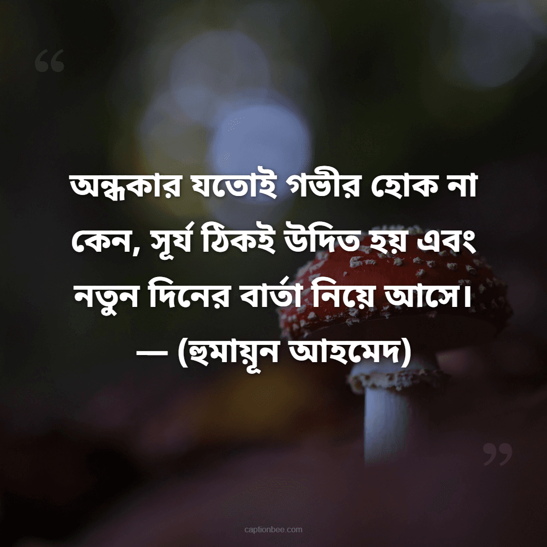 অন্ধকার যতোই গভীর হোক না কেন, সূর্য ঠিকই উদিত হয় এবং নতুন দিনের বার্তা নিয়ে আসে। — (হুমায়ূন আহমেদ)