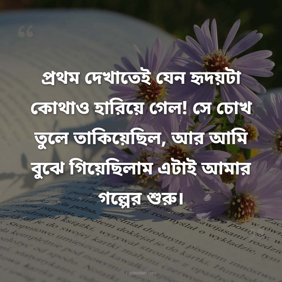 প্রথম দেখাতেই যেন হৃদয়টা কোথাও হারিয়ে গেল! সে চোখ তুলে তাকিয়েছিল, আর আমি বুঝে গিয়েছিলাম এটাই আমার গল্পের শুরু।