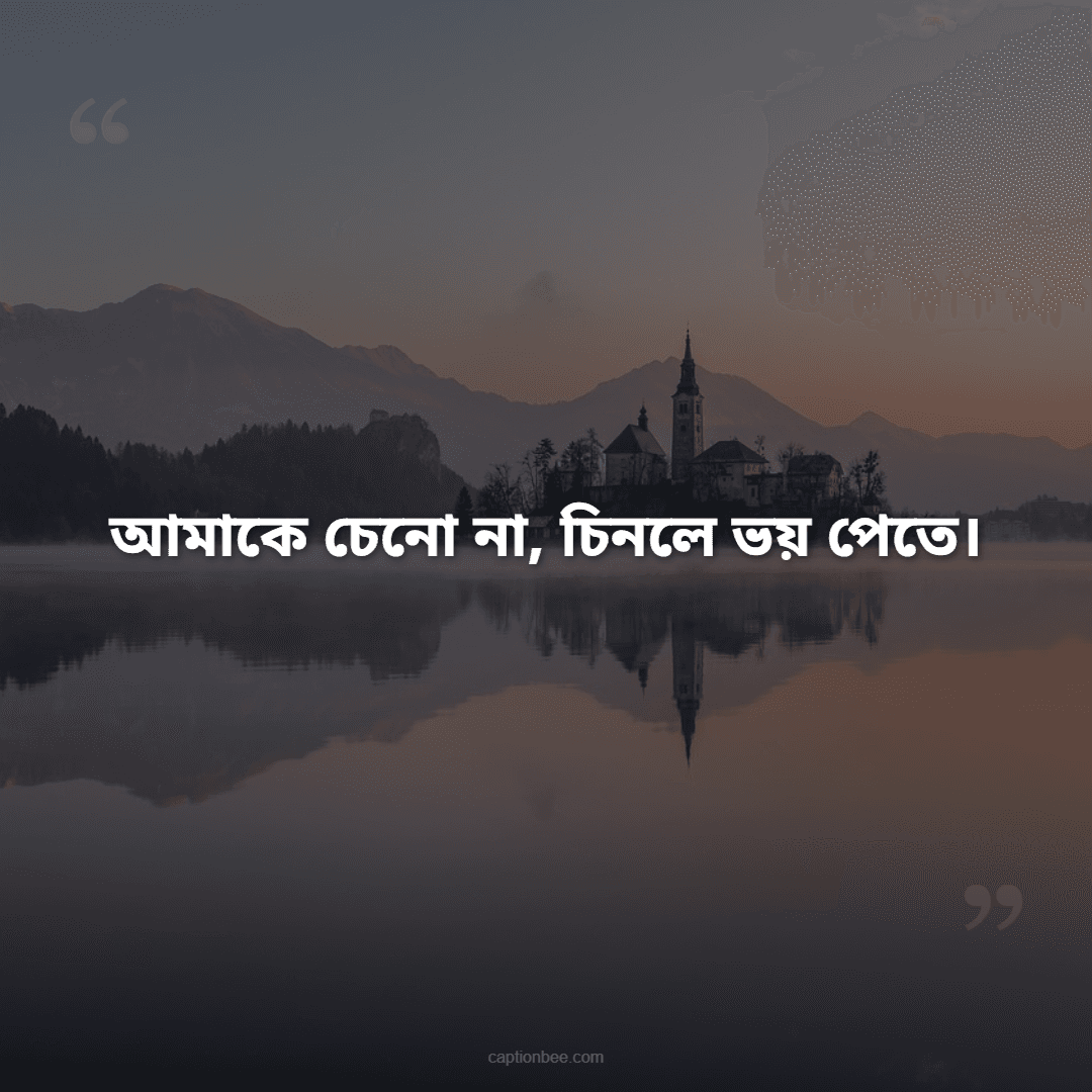 আমাকে চেনো না, চিনলে ভয় পেতে।