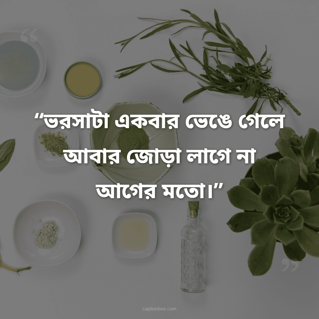 ভরসাটা একবার ভেঙে গেলে আবার জোড়া লাগে না আগের মতো।
