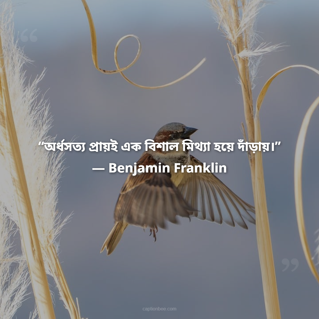 “অর্ধসত্য প্রায়ই এক বিশাল মিথ্যা হয়ে দাঁড়ায়।” — Benjamin Franklin