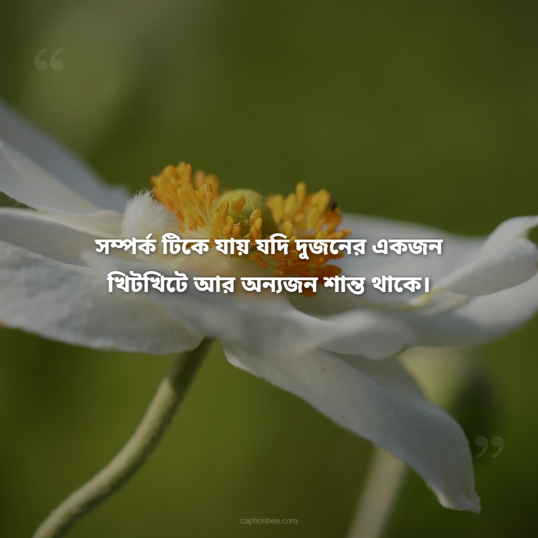 সম্পর্ক টিকে যায় যদি দুজনের একজন খিটখিটে আর অন্যজন শান্ত থাকে।