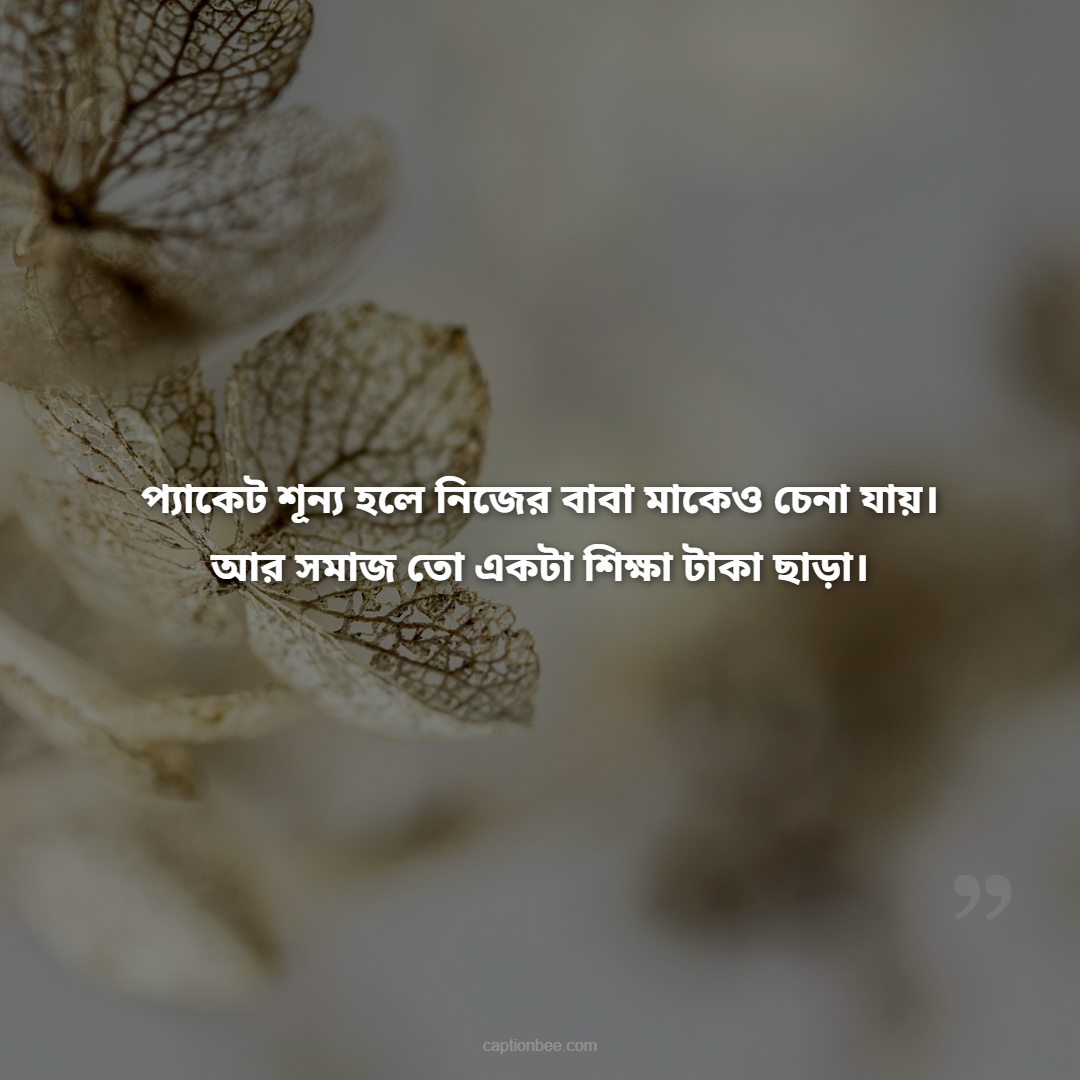 প্যাকেট শূন্য হলে নিজের বাবা মাকেও চেনা যায়। আর সমাজ তো একটা শিক্ষা টাকা ছাড়া।