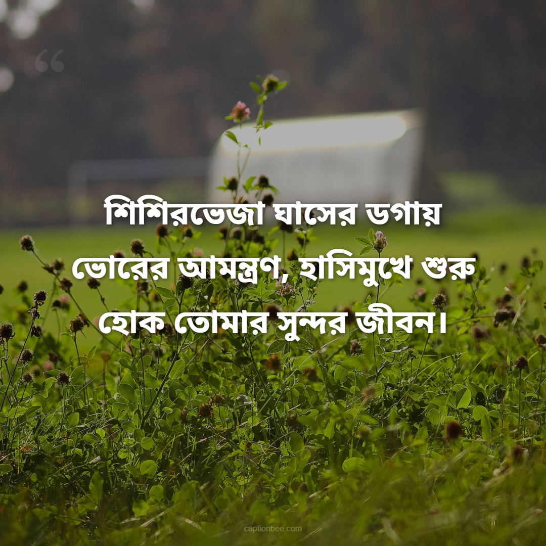 শিশিরভেজা ঘাসের ডগায় ভোরের আমন্ত্রণ, হাসিমুখে শুরু হোক তোমার সুন্দর জীবন।