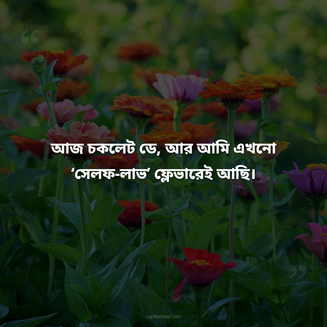 আজ চকলেট ডে, আর আমি এখনো ‘সেলফ-লাভ’ ফ্লেভারেই আছি।