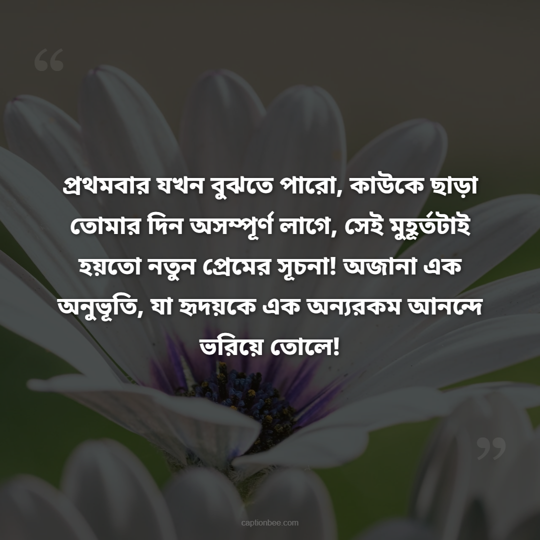 প্রথমবার যখন বুঝতে পারো, কাউকে ছাড়া তোমার দিন অসম্পূর্ণ লাগে, সেই মুহূর্তটাই হয়তো নতুন প্রেমের সূচনা! অজানা এক অনুভূতি, যা হৃদয়কে এক অন্যরকম আনন্দে ভরিয়ে তোলে!