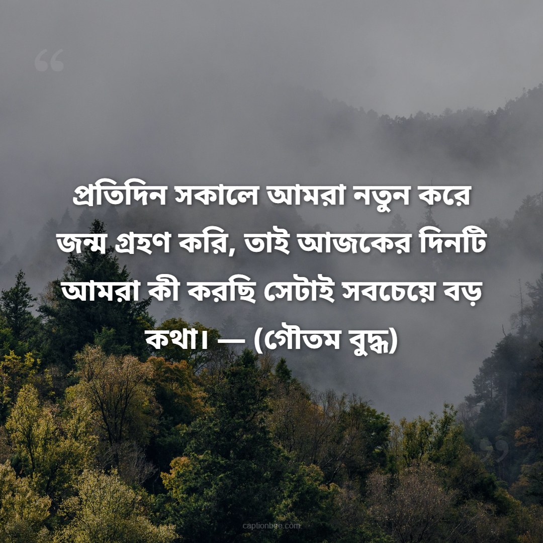 প্রতিদিন সকালে আমরা নতুন করে জন্ম গ্রহণ করি, তাই আজকের দিনটি আমরা কী করছি সেটাই সবচেয়ে বড় কথা। — (গৌতম বুদ্ধ)
