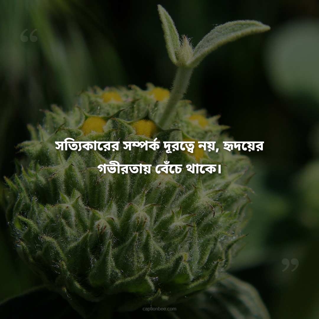 সত্যিকারের সম্পর্ক দূরত্বে নয়, হৃদয়ের গভীরতায় বেঁচে থাকে।