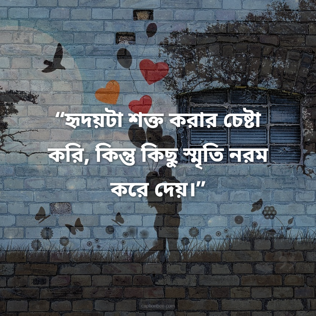 হৃদয়টা শক্ত করার চেষ্টা করি, কিন্তু কিছু স্মৃতি নরম করে দেয়।