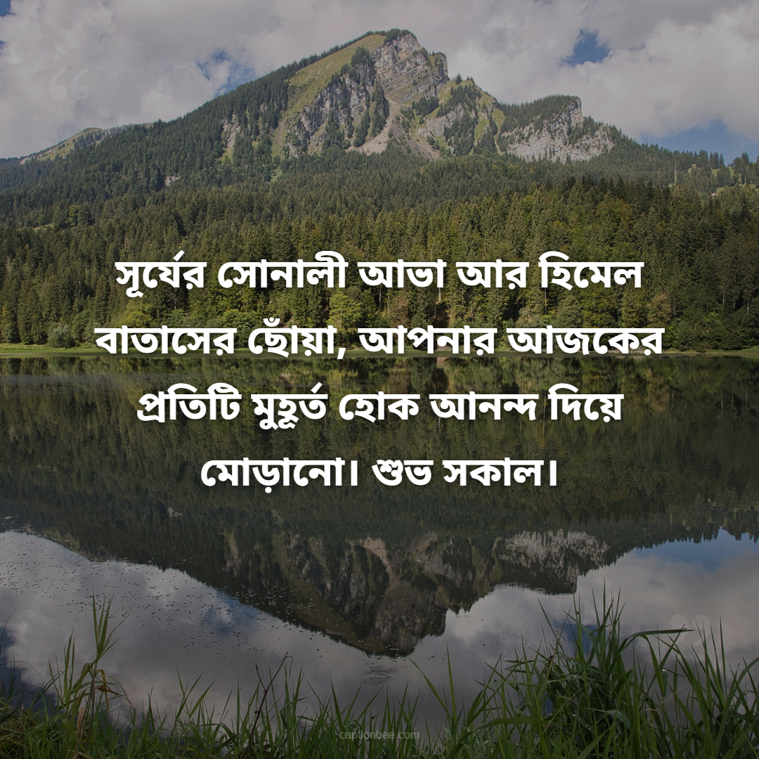 সূর্যের সোনালী আভা আর হিমেল বাতাসের ছোঁয়া, আপনার আজকের প্রতিটি মুহূর্ত হোক আনন্দ দিয়ে মোড়ানো। শুভ সকাল।